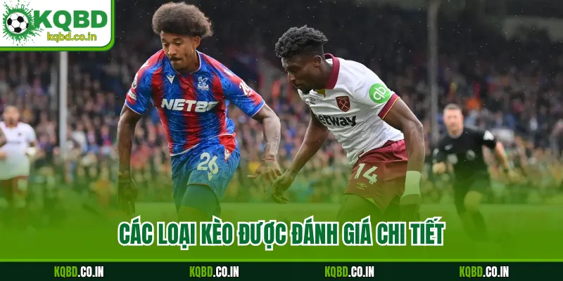 Các loại kèo được đánh giá chi tiết