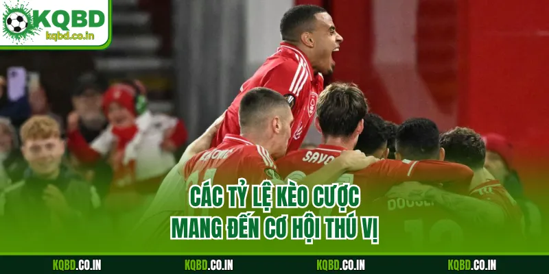 Các tỷ lệ kèo cược mang đến cơ hội thú vị