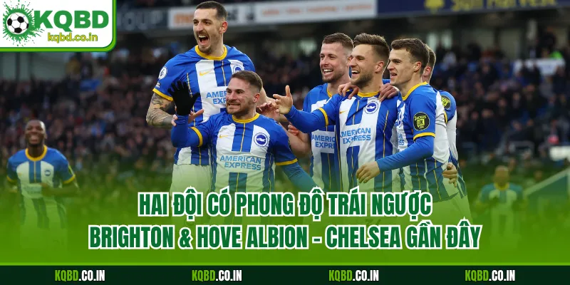 Hai đội có phong độ trái ngược Brighton & Hove Albion - Chelsea gần đây