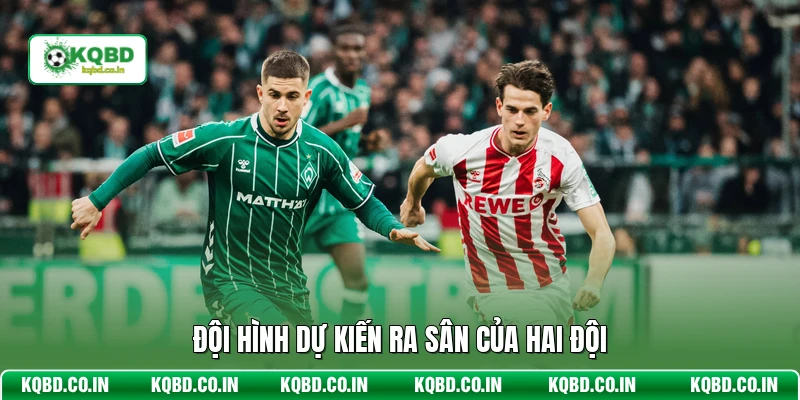 Đội hình dự kiến ra sân của hai đội