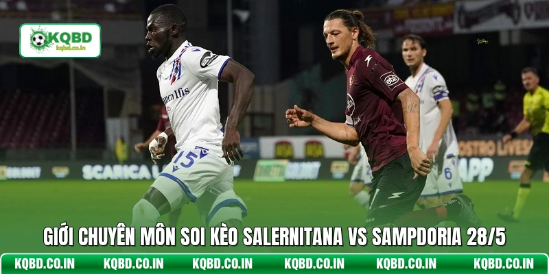 Giới chuyên môn soi kèo Salernitana vs Sampdoria 28/5