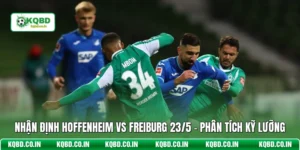 Nhận Định Hoffenheim Vs Freiburg 23/5 - Phân Tích Kỹ Lưỡng