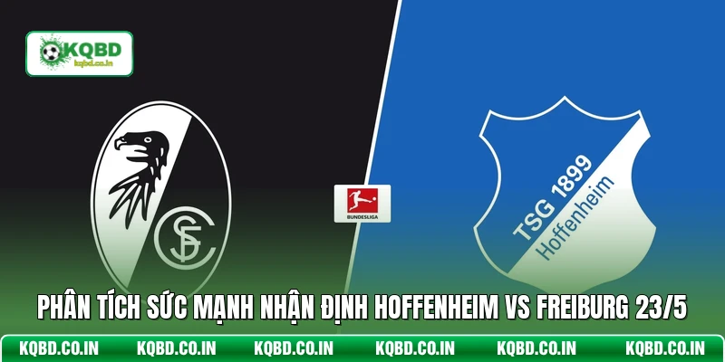 Phân tích sức mạnh nhận định Hoffenheim vs Freiburg 23/5