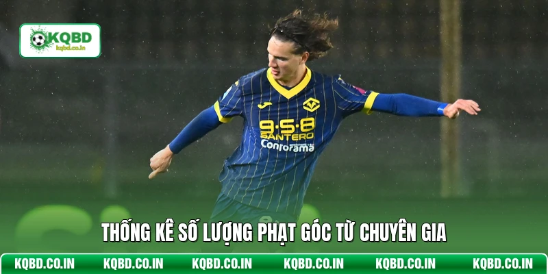 Thống kê số lượng phạt góc từ chuyên gia