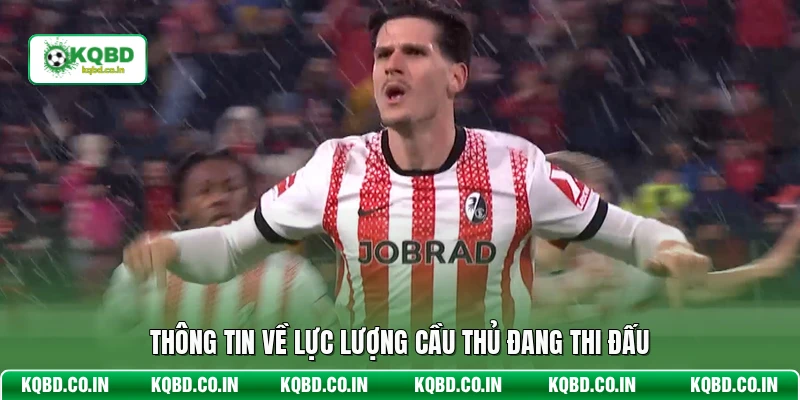 Thông tin về lực lượng cầu thủ đang thi đấu