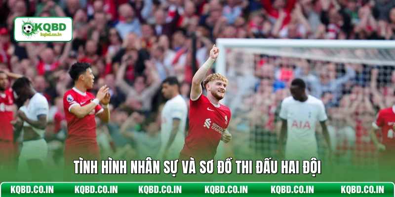 Tình hình nhân sự và sơ đồ thi đấu hai đội
