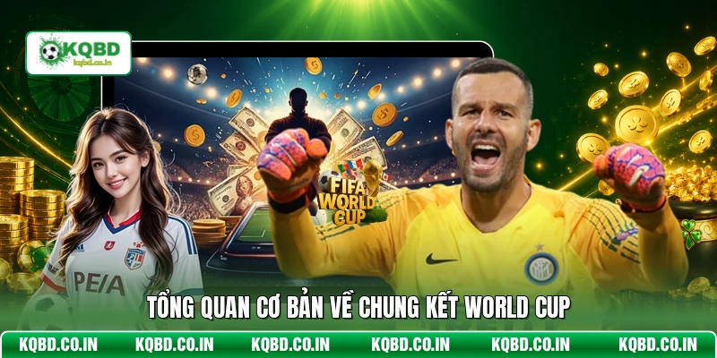 Tổng quan cơ bản về chung kết World Cup