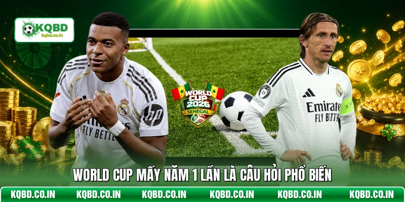 World Cup mấy năm 1 lần là câu hỏi phổ biến