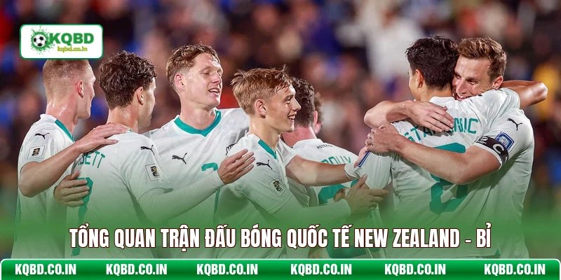 Tổng quan trận đấu bóng quốc tế New Zealand - Bỉ